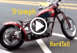 Hardtail Springer Triumph